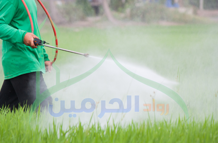 شركة رش مبيدات بالجبيل